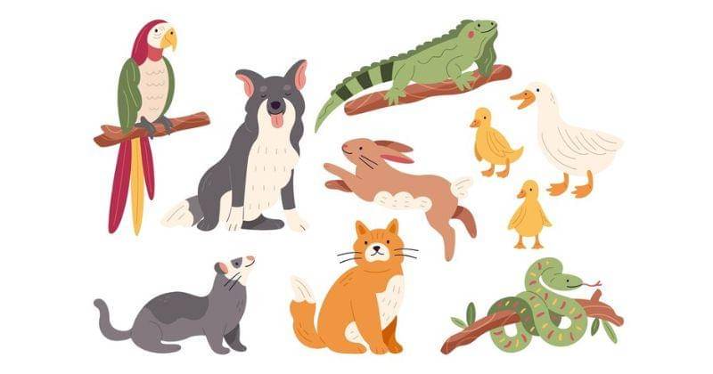 Freepik/pikisuperstar